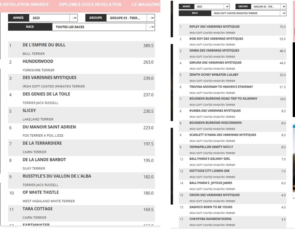 des Varennes Mystiques - Classement (provisoire) Top Dog 2023