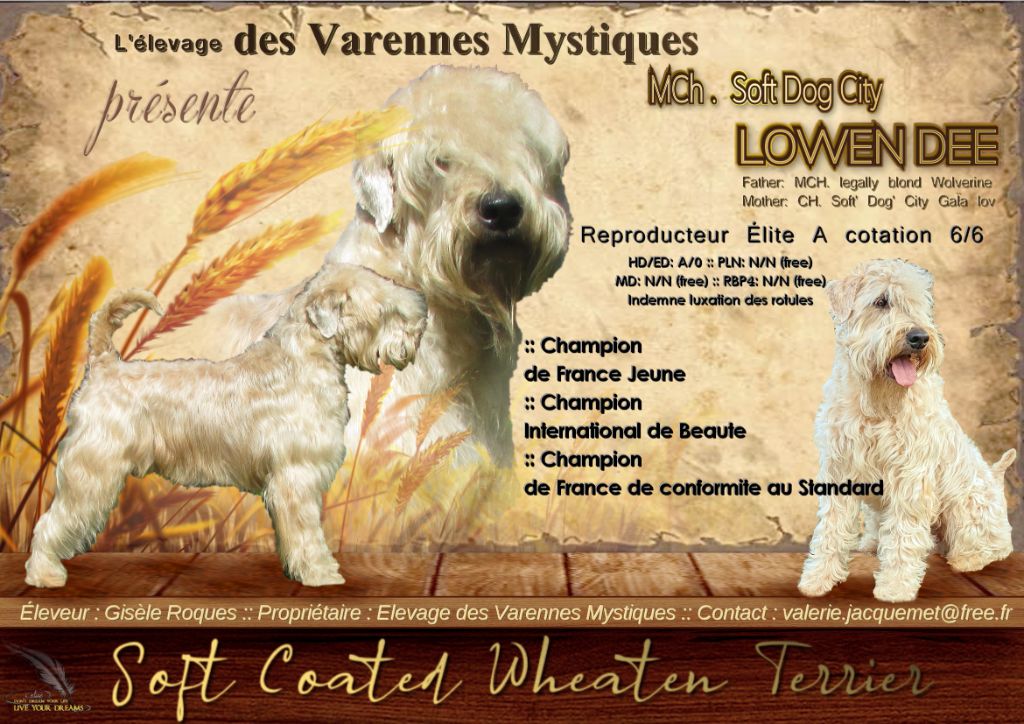 des Varennes Mystiques - Cotation 6 pour LOWEN DEE ! 