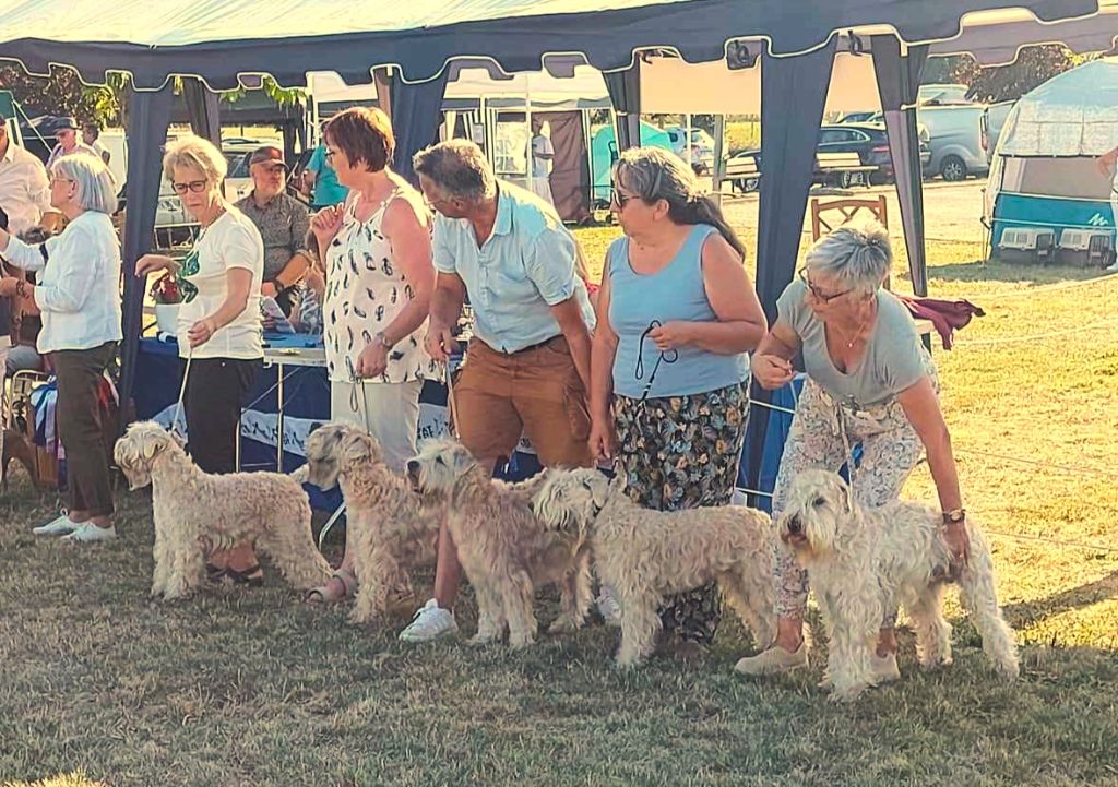 des Varennes Mystiques - Résultats de la Nationale (près d'Auxerre) le 09/09/2023