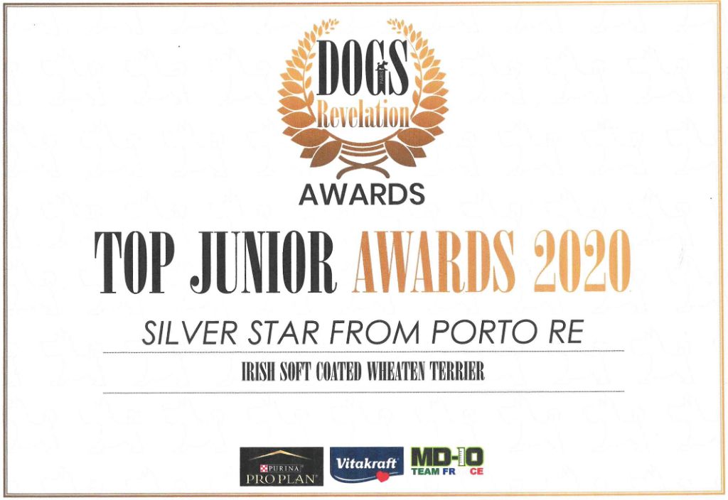 CH. Silver star from porto-re