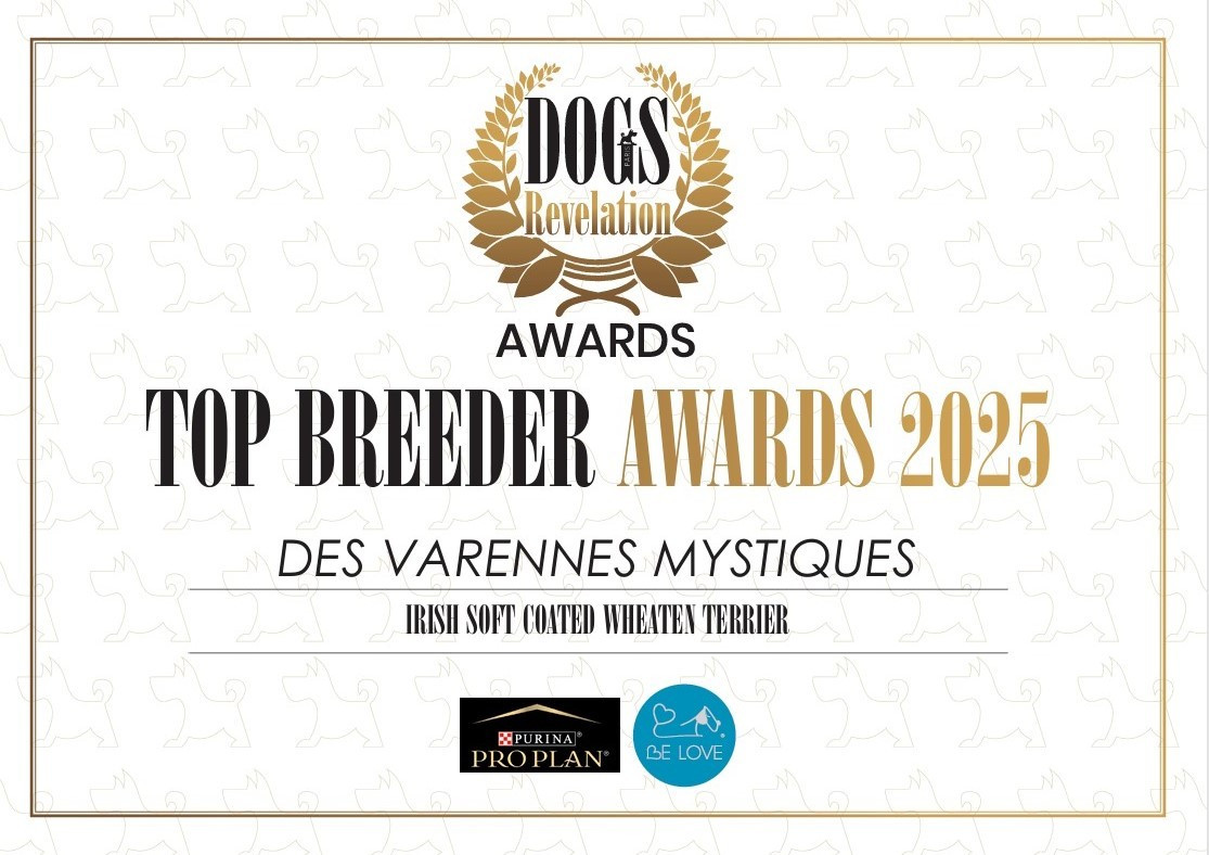 des Varennes Mystiques - CLASSEMENT DOGS REVELATION 2025