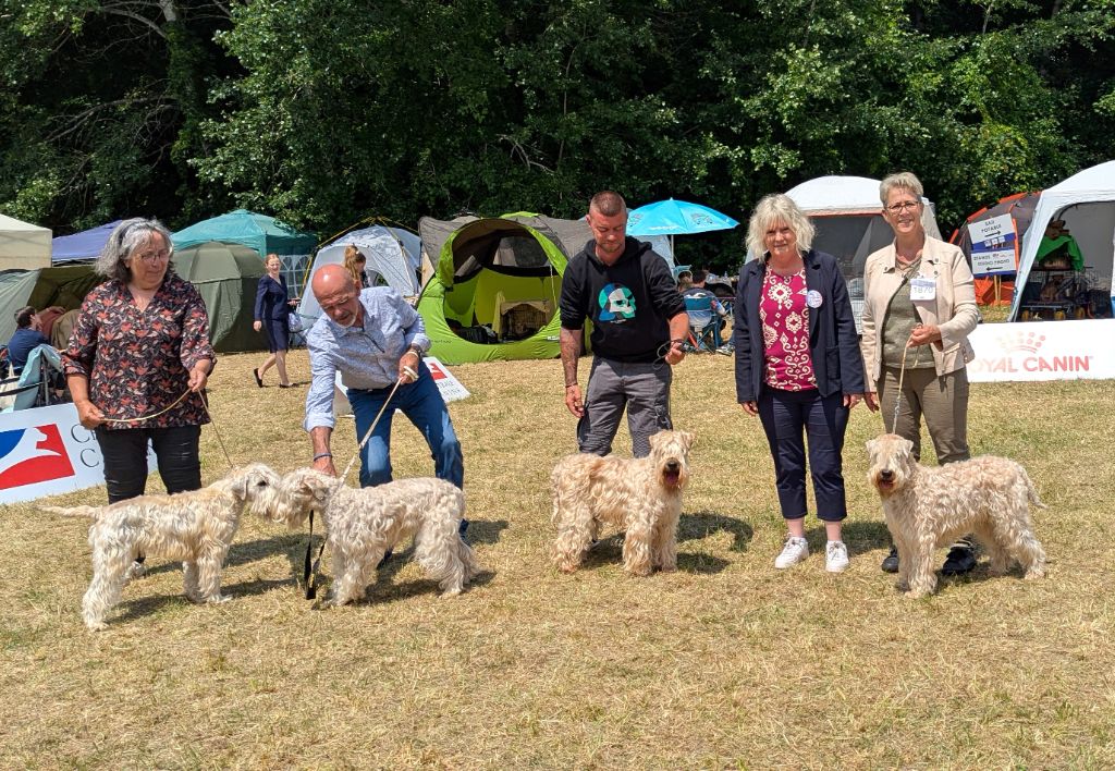 Résultats de notre Week-end d'exposition à Dijon :